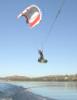 2009 WakeKite Superfly 9.0 Package - Free US Shipping